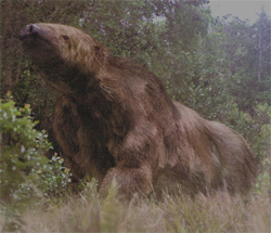 Ground Sloth