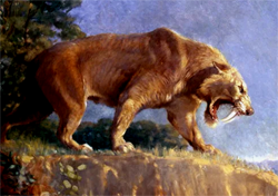 Sabre-toothed Cat