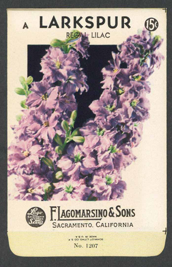 Lilac