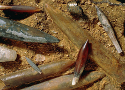 Belemnite