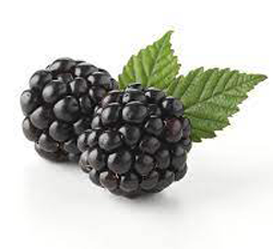 Blackberry