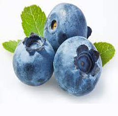 Blueberry