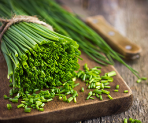 Chive