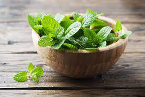 Mint