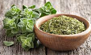 Oregano