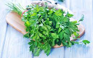 Parsley