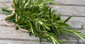 Rosemary
