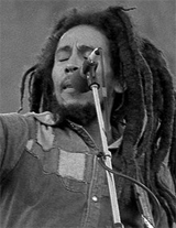 King Of Reggae