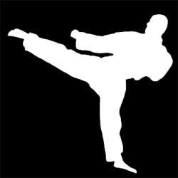Judo