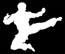 Kung Fu