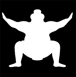 Sumo
