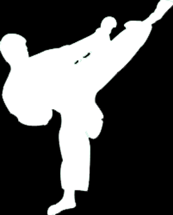 Taekwondo