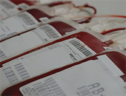 Contaminated Blood Scandal