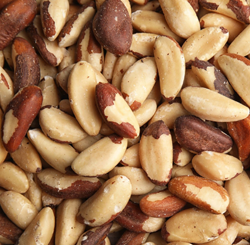 Brazil Nut