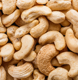 Cashew Nut