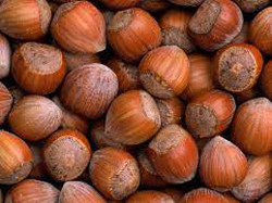 Hazelnut
