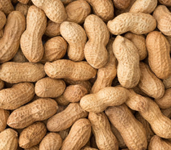 Peanut