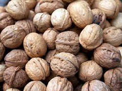 Walnut