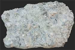 Limestone