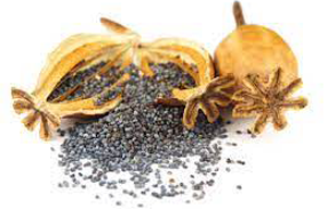 Poppy Seeds