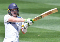 Cricket