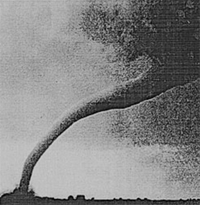 Tracy Tornado