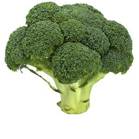 Broccoli
