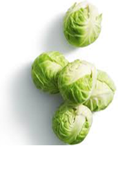 Brussel sprout