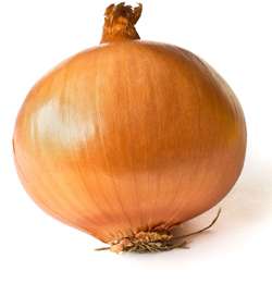 Onion
