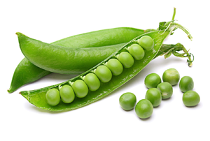 Pea