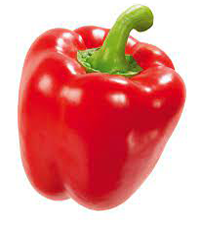 Pepper