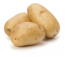 Potato