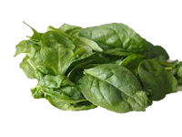 Spinach